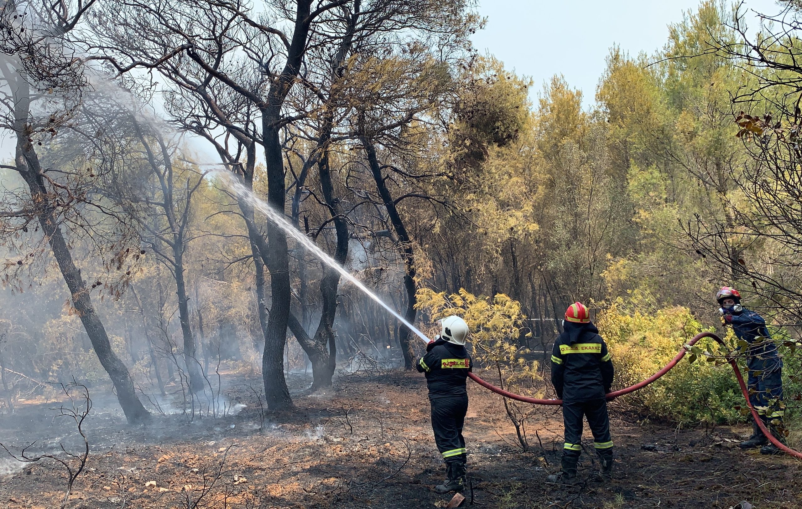Για την αποτελεσματική διαχείριση των δασικών πυρκαγιών χρειάζονται ορθολογικές αποφάσεις, όχι απλή παράθεση αριθμών